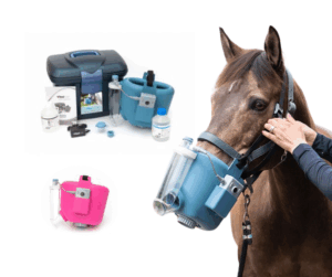 Flexinebsystem för häst