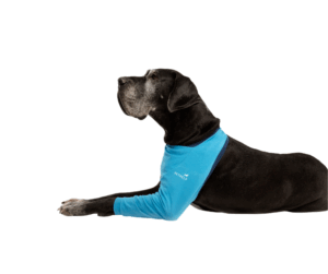 Benskydd, framben ljusblå