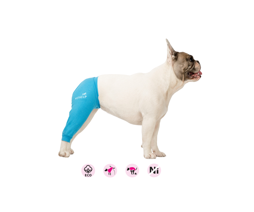 Benskydd, bakben ljusblå