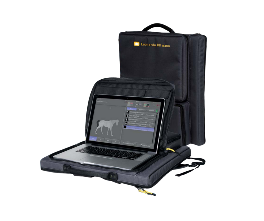 Leonardo DR nano