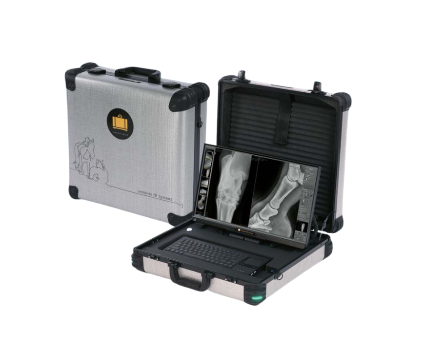 Leonardo DR mini III