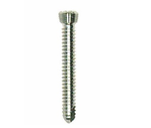 Locking star screw LS24STAR