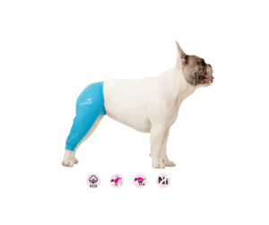 Benskydd, bakben ljusblå