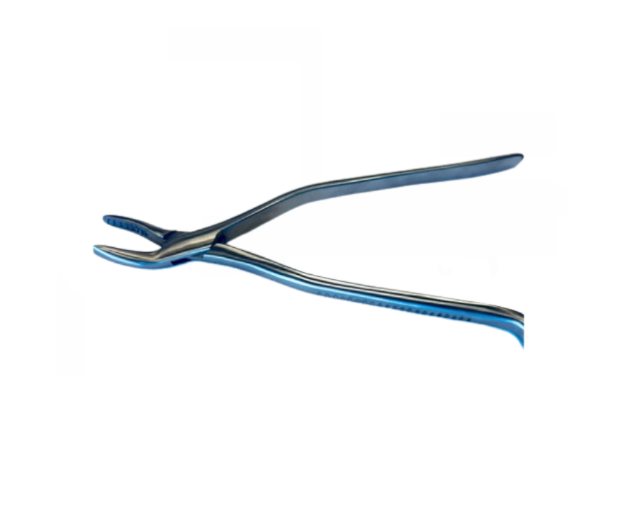 Tandtång Häst 25cm WWE