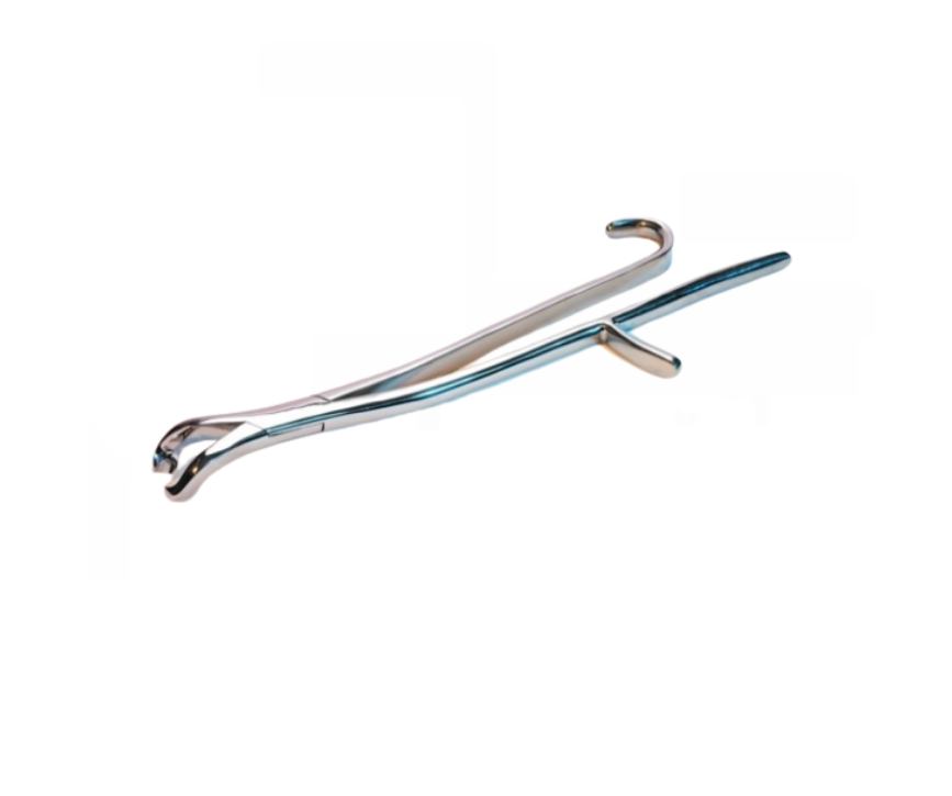 Tandtång Häst Reynold 43cm