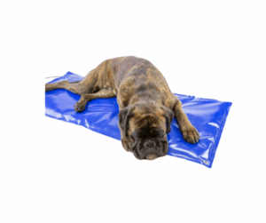 Värmematta Carbon Tech