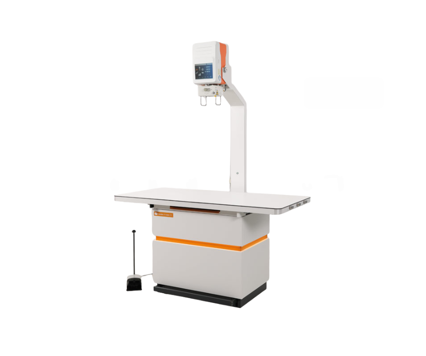 Amadeo V-DR nano II system