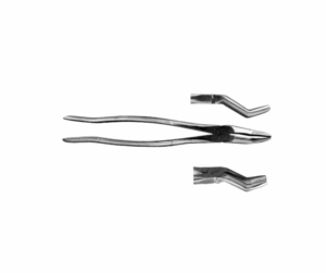 Tandtång vargtand  WWE