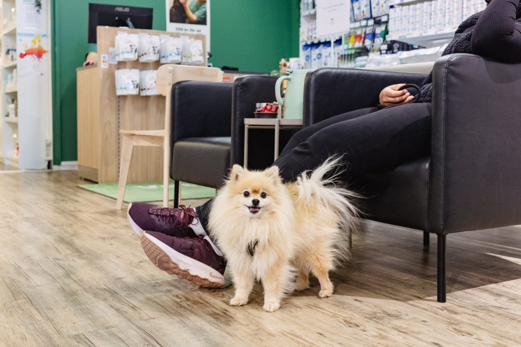 Starta egen veterinärklinik – så undviker du onödiga kostnader