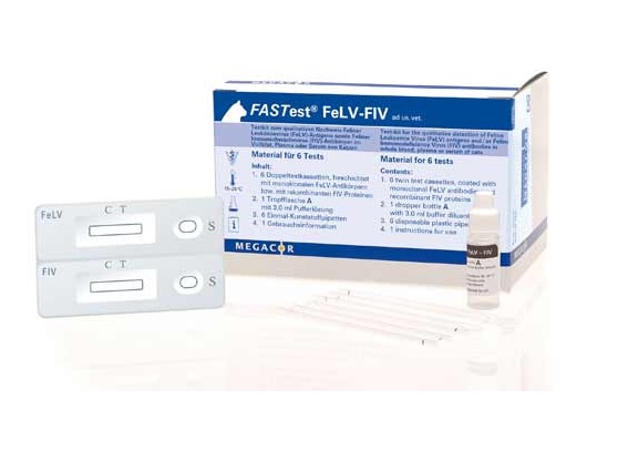 FASTest FeLV-FIV/6st