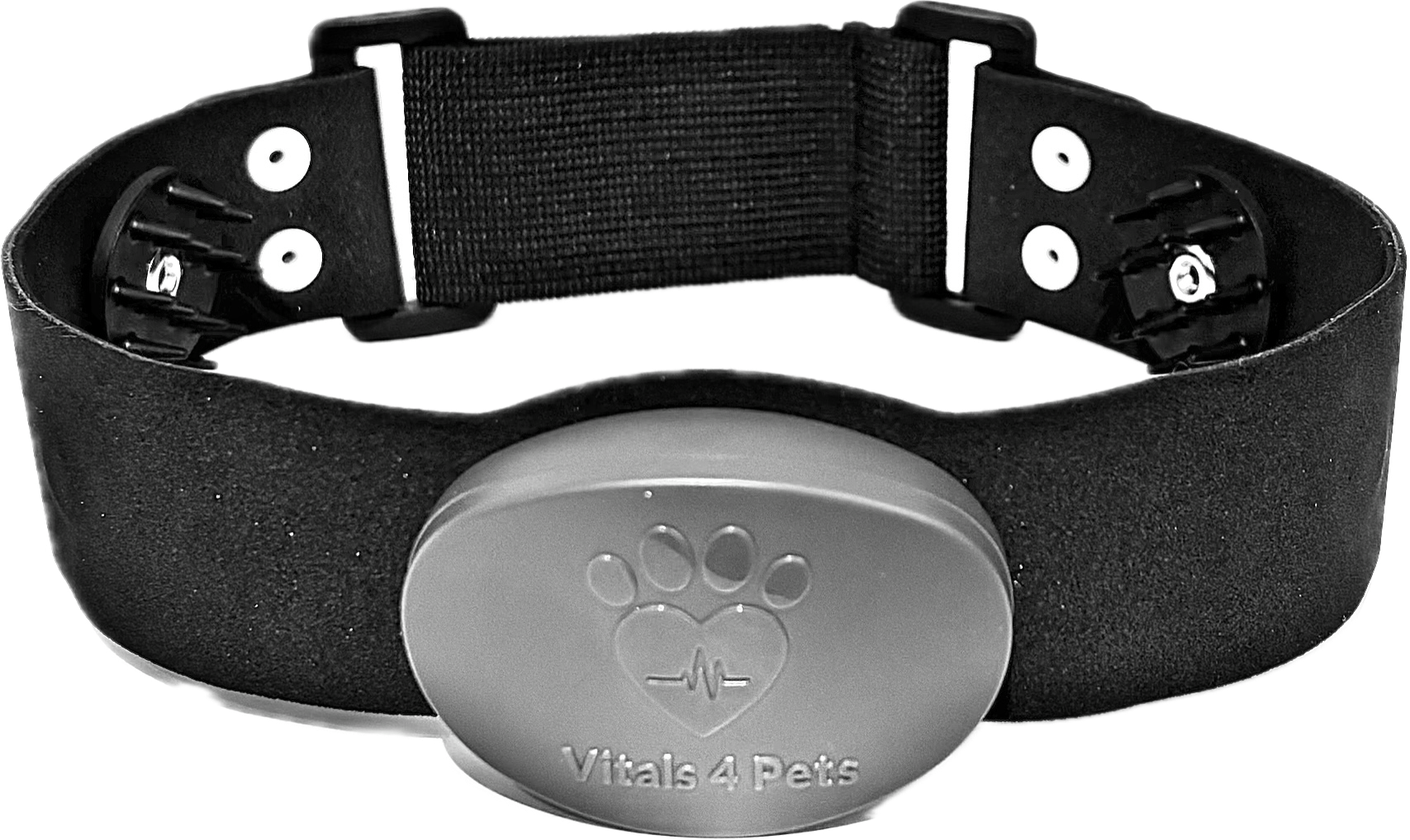 Vitals 4 Pets Startpaket